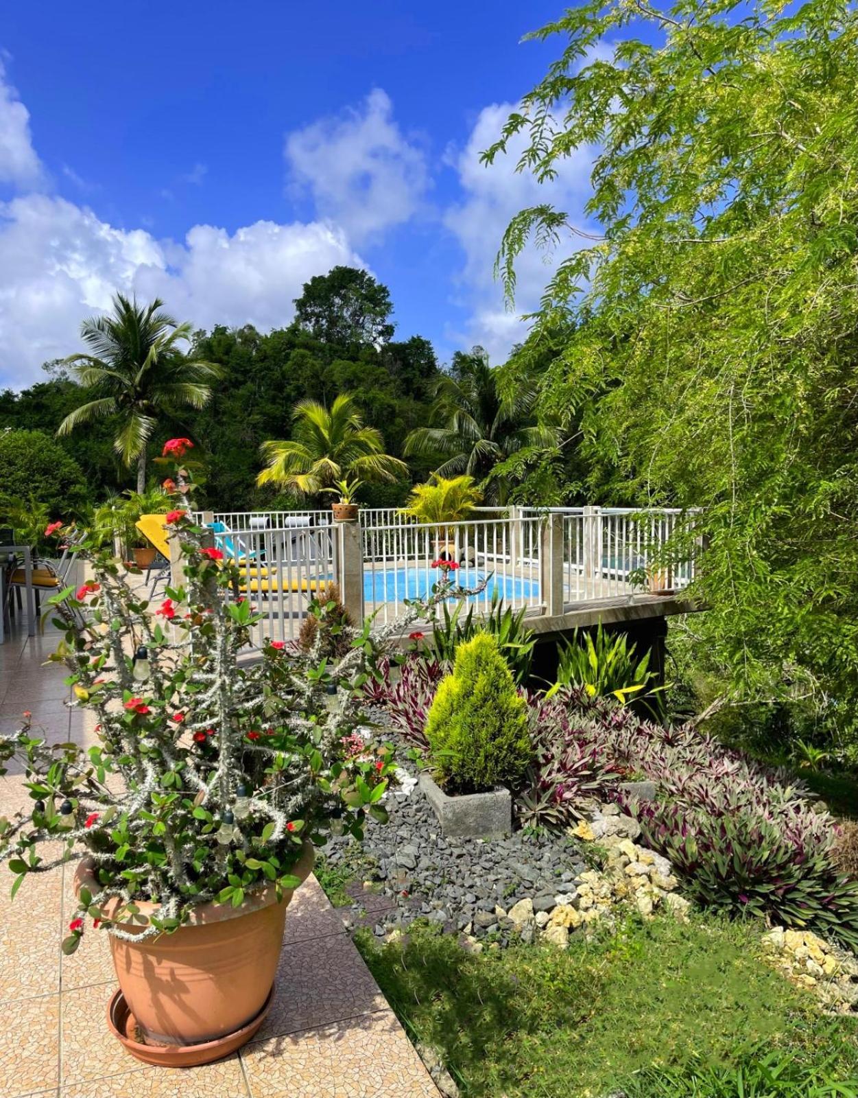 La Villa Ixora, Magnifique Villa Avec Piscine レザビーム エクステリア 写真